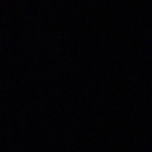 Meet your Posher, Eva